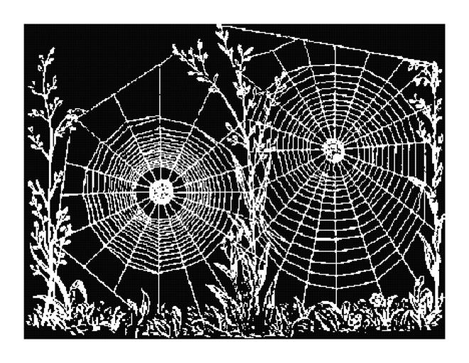 Spiderweb Silhouette Pattern